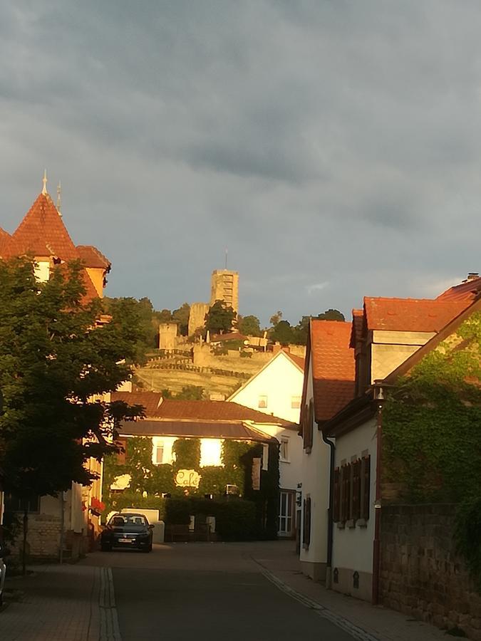 Gaestehaus Bacchus Wachenheim an der Weinstrasse Exterior photo